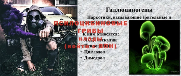 гидра Алексеевка