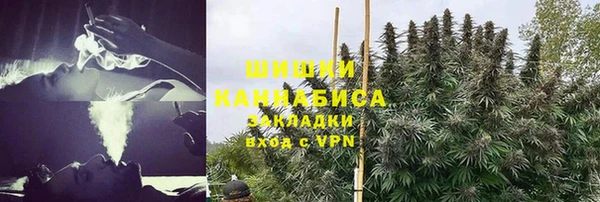 соль ск Алексин