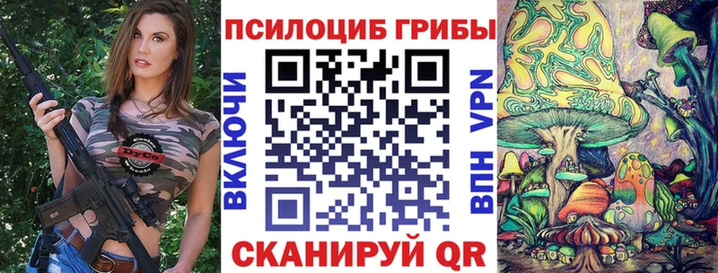 Псилоцибиновые грибы Cubensis  Мичуринск 